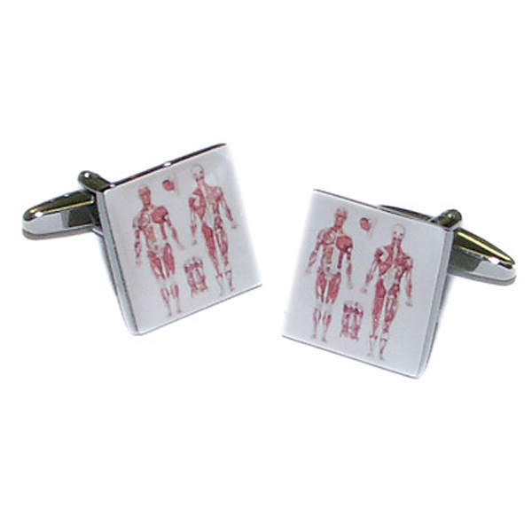 Human Anatomy Cufflinks Cufflinks Depot