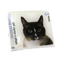 Black,White and Tan Cat Stamp Cufflinks
