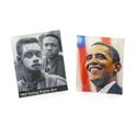 Voting Rights Collection