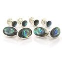 Abalone Stud Set