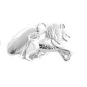 Sterling Lion Cufflinks