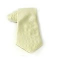 Champagne Silk Neck Tie