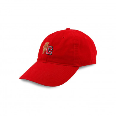 Cornell University Needlepoint Hat