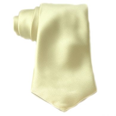 Champagne Silk Neck Tie